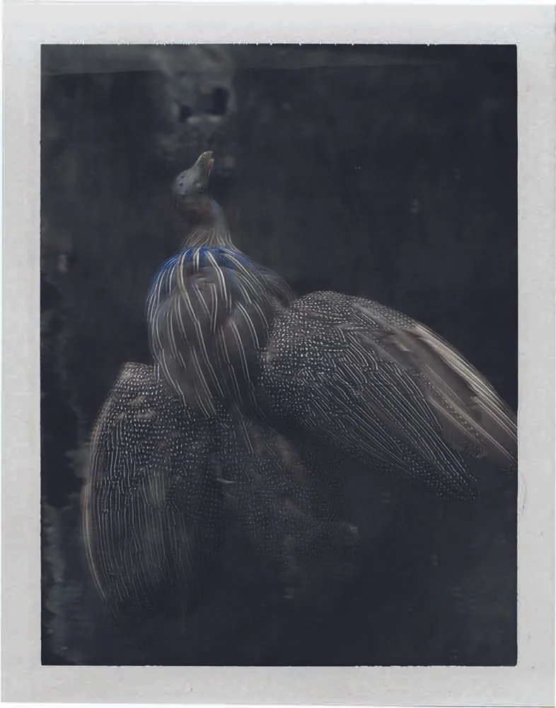 HOF Inductee Sarah Moon — International Photography Hall of Fame